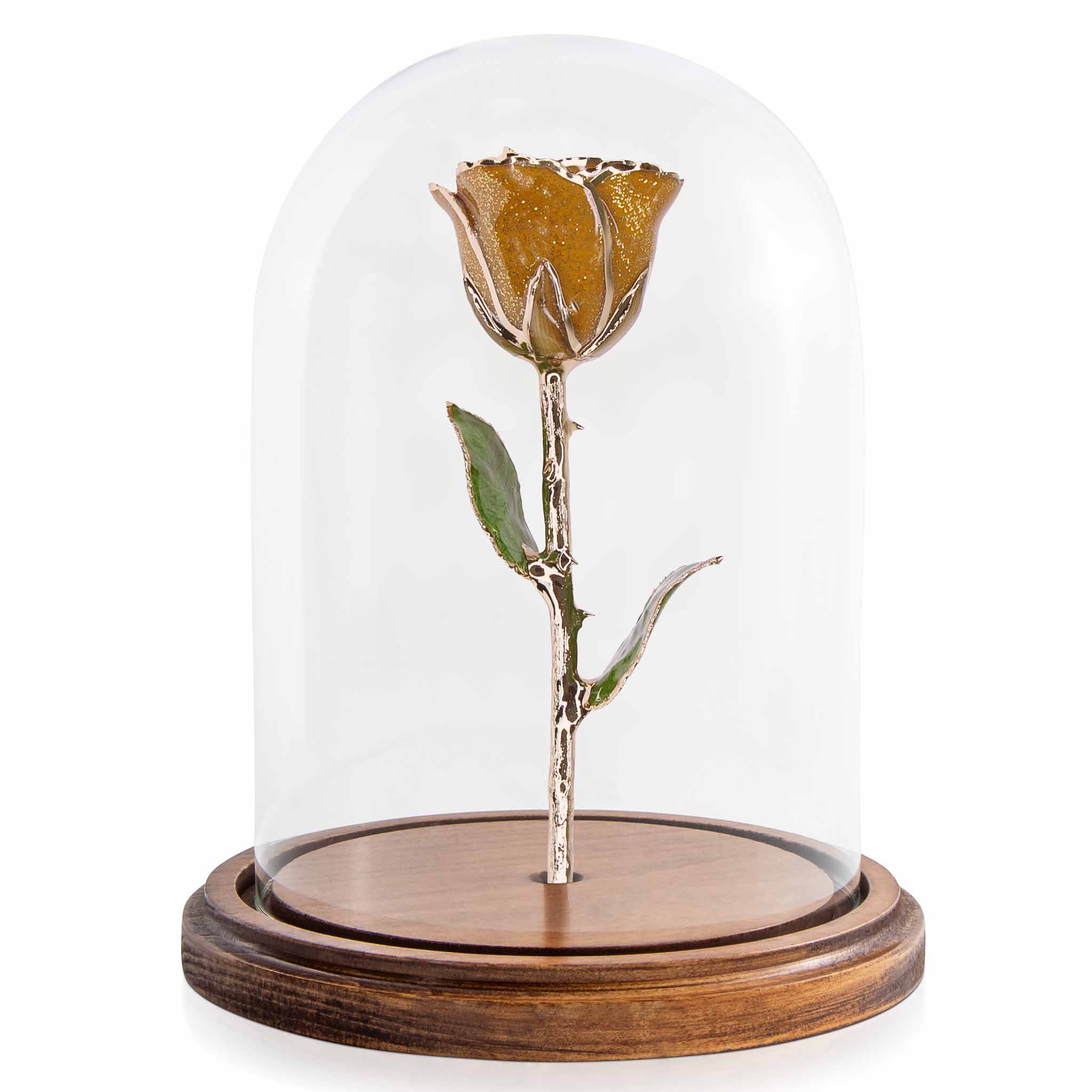 Multi Rose Discount Eligible